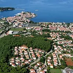 Zrnic